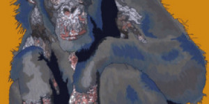 Beitragsbild des Blogbeitrags