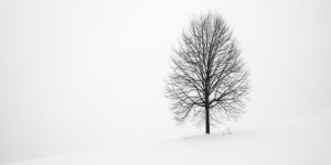 Beitragsbild des Blogbeitrags