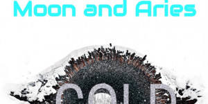 Beitragsbild des Blogbeitrags Weekly Top 40 - The music Blog charts - 08.01.22