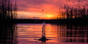 Beitragsbild des Blogbeitrags Reveling in the Presents Sublime Moments: “Slow Motion” by Moon and Aries