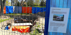 Beitragsbild des Blogbeitrags Der vergrabene Stier
