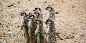 Beitragsbild des Blogbeitrags Genussmomente beim Hinsehen und Hinhören