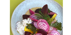 Beitragsbild des Blogbeitrags Rübenvielfalt: Roh, gekocht und eingelegt mit Rübenblattchips auf Topfenmürbteig mit Stracciatella und Dill