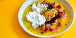 Beitragsbild des Blogbeitrags ZITRUS TRIFFT RÜBE AUF BURRATA