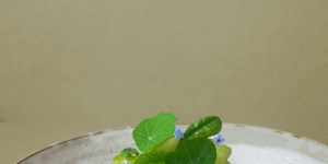Beitragsbild des Blogbeitrags Gurkensuppe, Schafsfrischkäse,Limetten-Minz-Gurken, Kräuter