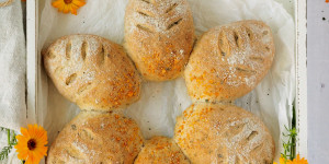 Beitragsbild des Blogbeitrags Wildkräuter-Brotblume