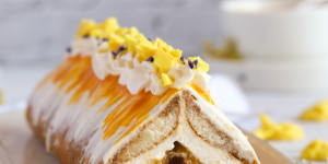 Beitragsbild des Blogbeitrags Mango – Tiramisu