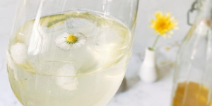 Beitragsbild des Blogbeitrags Löwenzahnsirup rezept