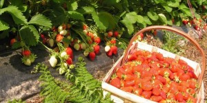 Beitragsbild des Blogbeitrags Ich und die „Do it yourself“ Gesellschaft!