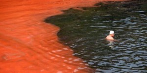 Beitragsbild des Blogbeitrags Blaue und rote Ozeane