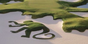Beitragsbild des Blogbeitrags Zukunft braucht Herkunft – Teil 2
