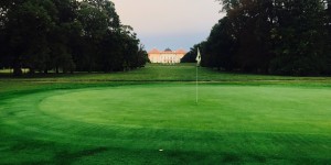 Beitragsbild des Blogbeitrags Echte Golfer wählen GRÜN
