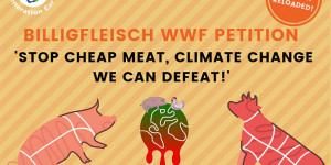 Beitragsbild des Blogbeitrags WWF Petition „Stopp für Billigfleisch“ 