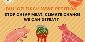 Beitragsbild des Blogbeitrags WWF Petition „Stopp für Billigfleisch“