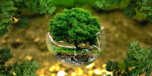 Beitragsbild des Blogbeitrags Klimaschutz und Kapitalismus: Ein Widerspruch?