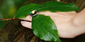 Beitragsbild des Blogbeitrags Test-Kollektion – Deussl Schmuck Manufaktur