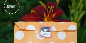 Beitragsbild des Blogbeitrags Schmucke-Box Juni – Unboxing