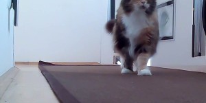 Beitragsbild des Blogbeitrags Racker allein daheim – die Auflösung + Gewinnspiel 