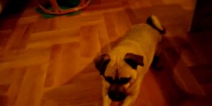 Beitragsbild des Blogbeitrags Natürlich gesunder Knabberspaß