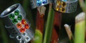 Beitragsbild des Blogbeitrags Fräulein´s funkelnde März -News 
