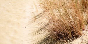 Beitragsbild des Blogbeitrags Den Sinn des Lebens finden: 5 Schritte die dir dabei helfen