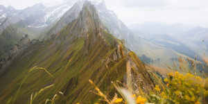 Beitragsbild des Blogbeitrags Diese 7 Lebensaufgaben solltest du kennen wenn du wirklich leben willst