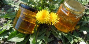 Beitragsbild des Blogbeitrags Sirup selber machen