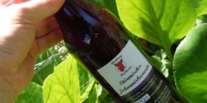 Beitragsbild des Blogbeitrags Johannisbeerwein stürmisch 2022