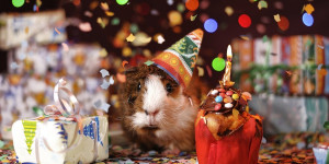 Beitragsbild des Blogbeitrags 7 Jahre TechnikNews: Happy Birthday!
