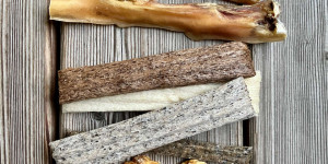 Beitragsbild des Blogbeitrags Unsere Top 5 naturreiner Kauknochen für Hunde 2023