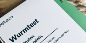 Beitragsbild des Blogbeitrags Unsere Erfahrungen mit den Wurmtests von Vetevo