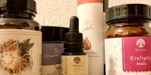 Beitragsbild des Blogbeitrags Unsere Erfahrungen mit den Nahrungsergänzungen von Waldkraft Bio
