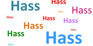 Beitragsbild des Blogbeitrags Der Hass der SPÖ.