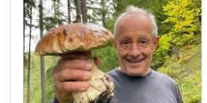 Beitragsbild des Blogbeitrags Peter Pilz und der Pilz. 