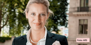 Beitragsbild des Blogbeitrags Die AfD – ein Kandidat für ein Parteiverbot?