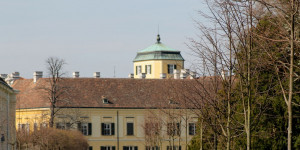 Beitragsbild des Blogbeitrags Frühling im Schlosspark Laxenburg 