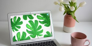 Beitragsbild des Blogbeitrags Design: Monstera Wallpaper im Februar