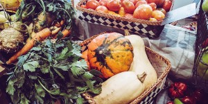 Beitragsbild des Blogbeitrags 11 köstliche Kürbis-Rezepte für den Herbst