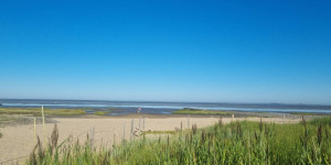 Beitragsbild des Blogbeitrags 12 von 12 im August: Sommer, Möwen, Krabbenkutter