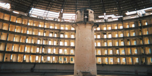 Beitragsbild des Blogbeitrags The Twitter Surveillance State