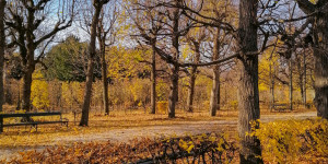 Beitragsbild des Blogbeitrags Schönbrunn – warum du diesen Ort einfach lieben musst