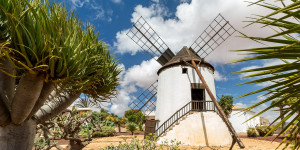 Beitragsbild des Blogbeitrags Fuerteventura: Witziges und Kurioses zur Kanareninsel