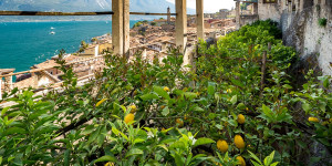 Beitragsbild des Blogbeitrags Gardasee: Ausflug in die Limonaia del Castel in Limone