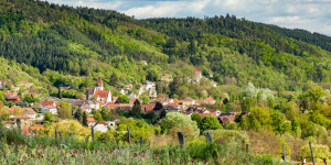 Beitragsbild des Blogbeitrags Wandern Waldviertel: Waldlehrpfad bei Schönberg am Kamp
