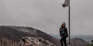 Beitragsbild des Blogbeitrags Naturpark Föhrenberge 