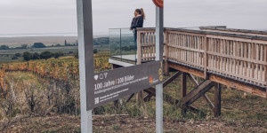 Beitragsbild des Blogbeitrags Weinwanderweg Oggau am Neusiedlersee