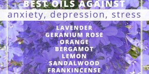 Beitragsbild des Blogbeitrags Top Öle bei Angstzuständen, Depressionen, Stress 
