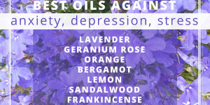 Beitragsbild des Blogbeitrags Top Öle bei Angstzuständen, Depressionen, Stress