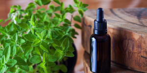Beitragsbild des Blogbeitrags Oregano Öl – das pflanzliche Antibiotikum
