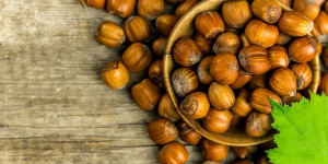 Beitragsbild des Blogbeitrags Haselnussöl – toll im Geschmack und super für die Gesundheit